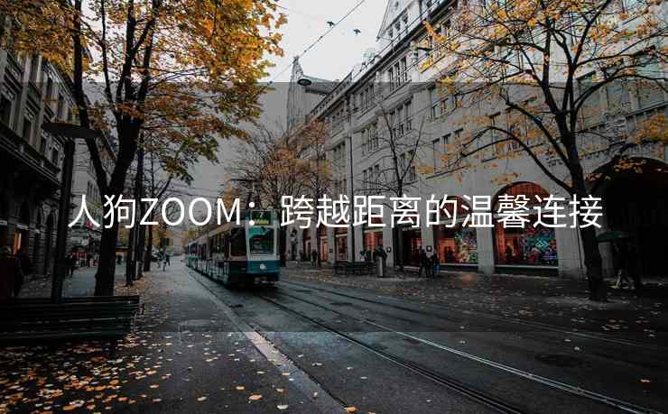 人狗ZOOM：跨越距离的温馨连接