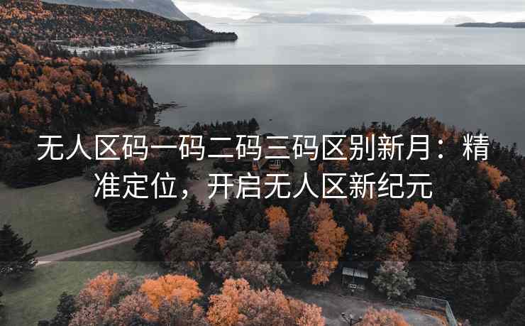 无人区码一码二码三码区别新月：精准定位，开启无人区新纪元