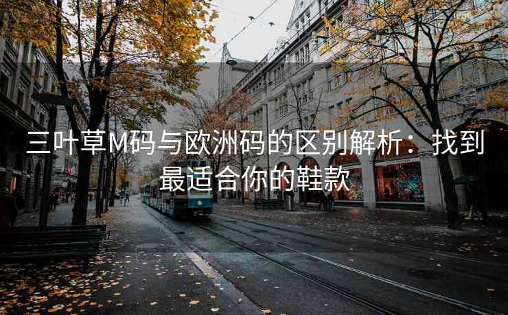 三叶草M码与欧洲码的区别解析：找到最适合你的鞋款